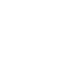 ICON-SalesLeadership-WHT-150
