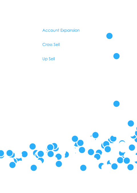 LastMileMobile-Account Expansion